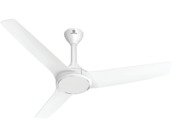 Ceiling Fans