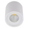 LED Floures Surface Spot WHT 12 W 4000 K