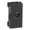 TV Socket