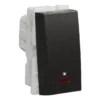 10 A Bell Push with Indicator Switch