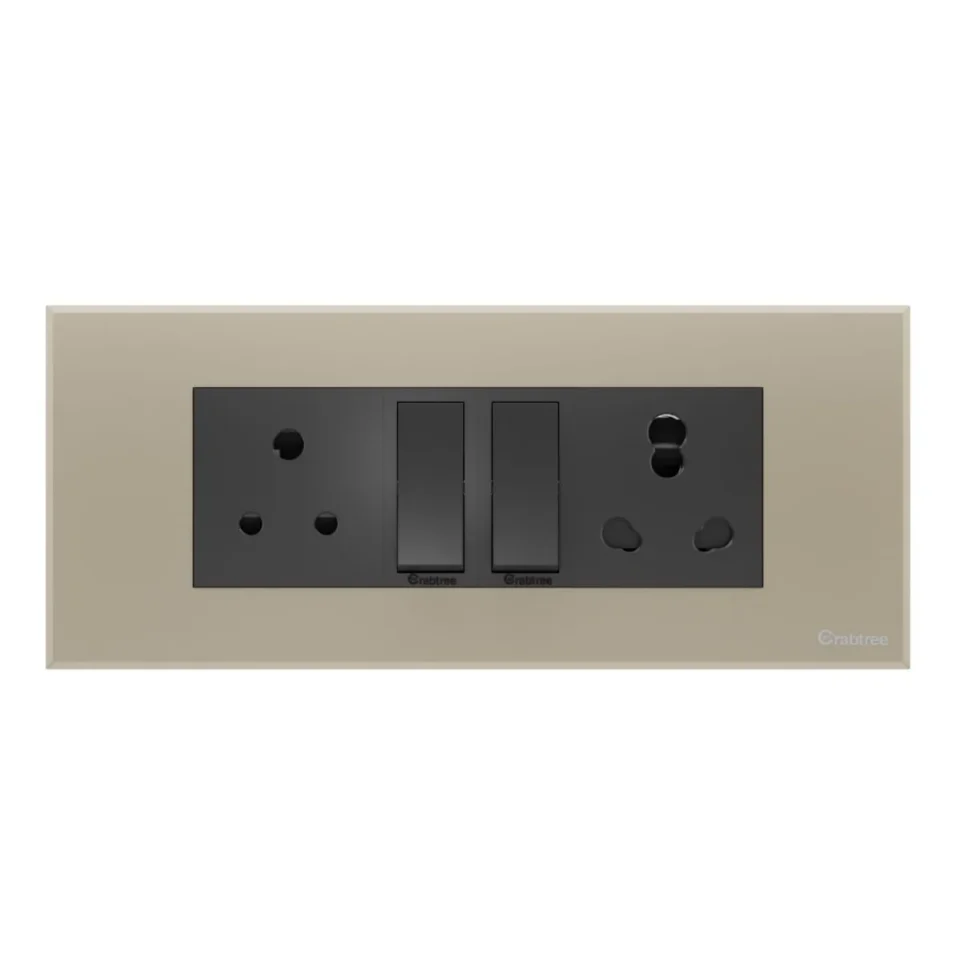 6 M Combined Plate Magnus Matt Gold