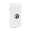 TV Socket IVY