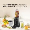 Nutri Power Blender 350 W Mixer Grinder Black 350 W, 2 Jar