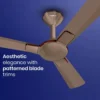 Enticer R&R BLDC Prime (Dual Control) Ceiling Fan