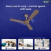 Enticer R&R BLDC Prime (Dual Control) Ceiling Fan