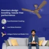 Enticer R&R BLDC Prime (Dual Control) Ceiling Fan