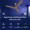 Enticer R&R BLDC Prime (Dual Control) Ceiling Fan