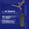Enticer R&R BLDC Prime (Dual Control) Ceiling Fan