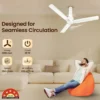 Elio Plus R&R BLDC (Dual Control) Ceiling Fan 1200 mm