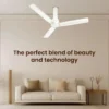 Elio Plus R&R BLDC (Dual Control) Ceiling Fan 1200 mm